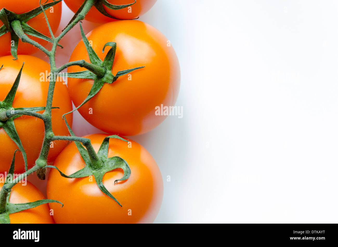 Succosa freschi pomodori arancione ramo su sfondo bianco Foto Stock