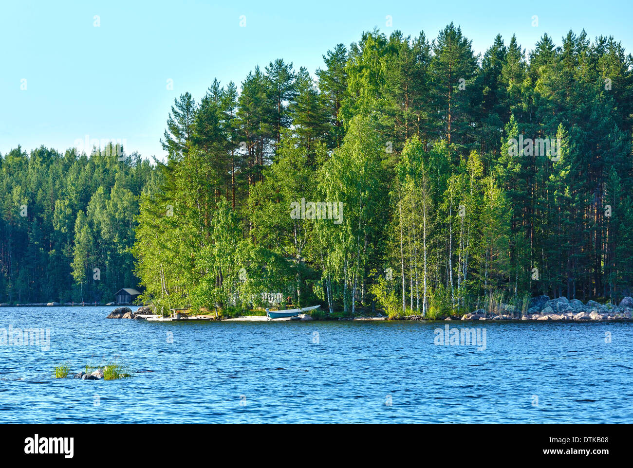 Lago Vista estiva con la foresta sul bordo ( Finlandia). Foto Stock