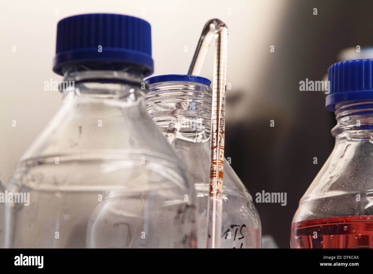 Lavorare in un laboratorio con strumenti di laboratorio Foto Stock