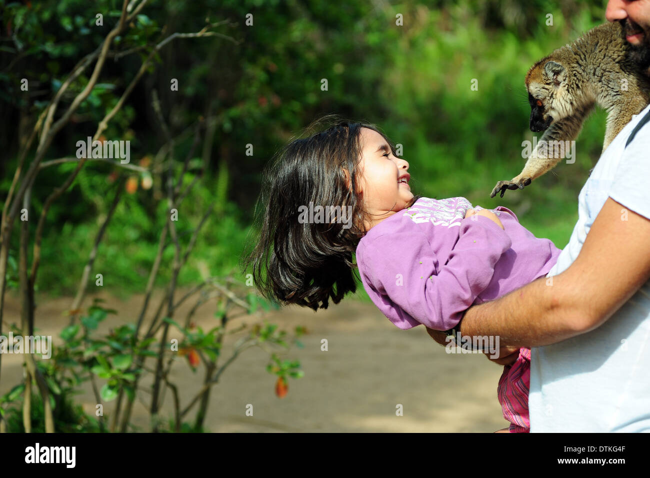 Madagascar, Andasibe, Ile aux lemuriens, comune lemure marrone (Eulemur fulvus) a spaventare la bambina Foto Stock