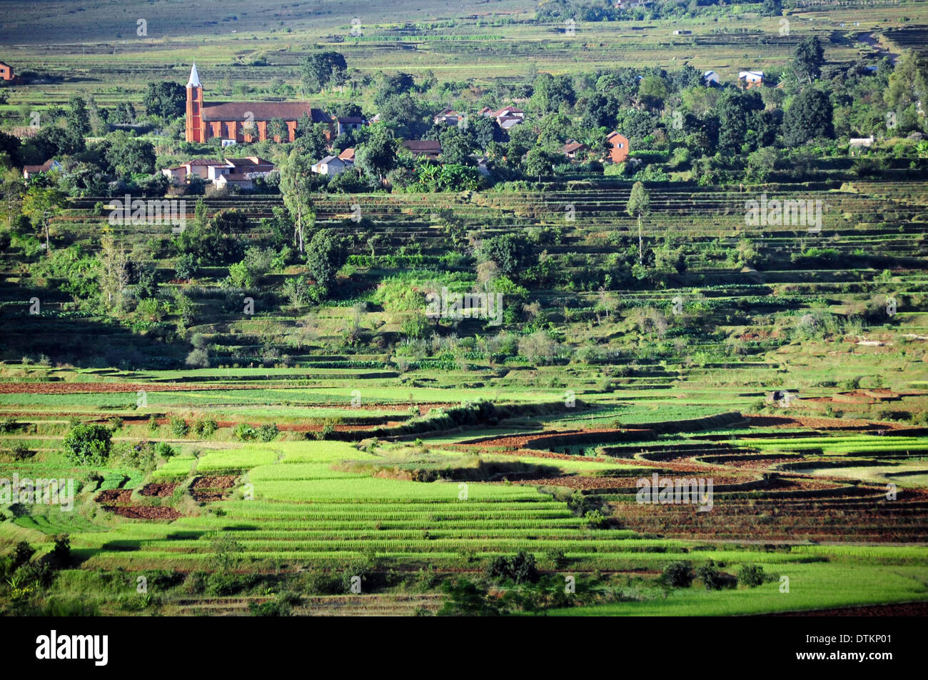 In Madagascar, la navigazione, vista sui campi di riso Foto Stock