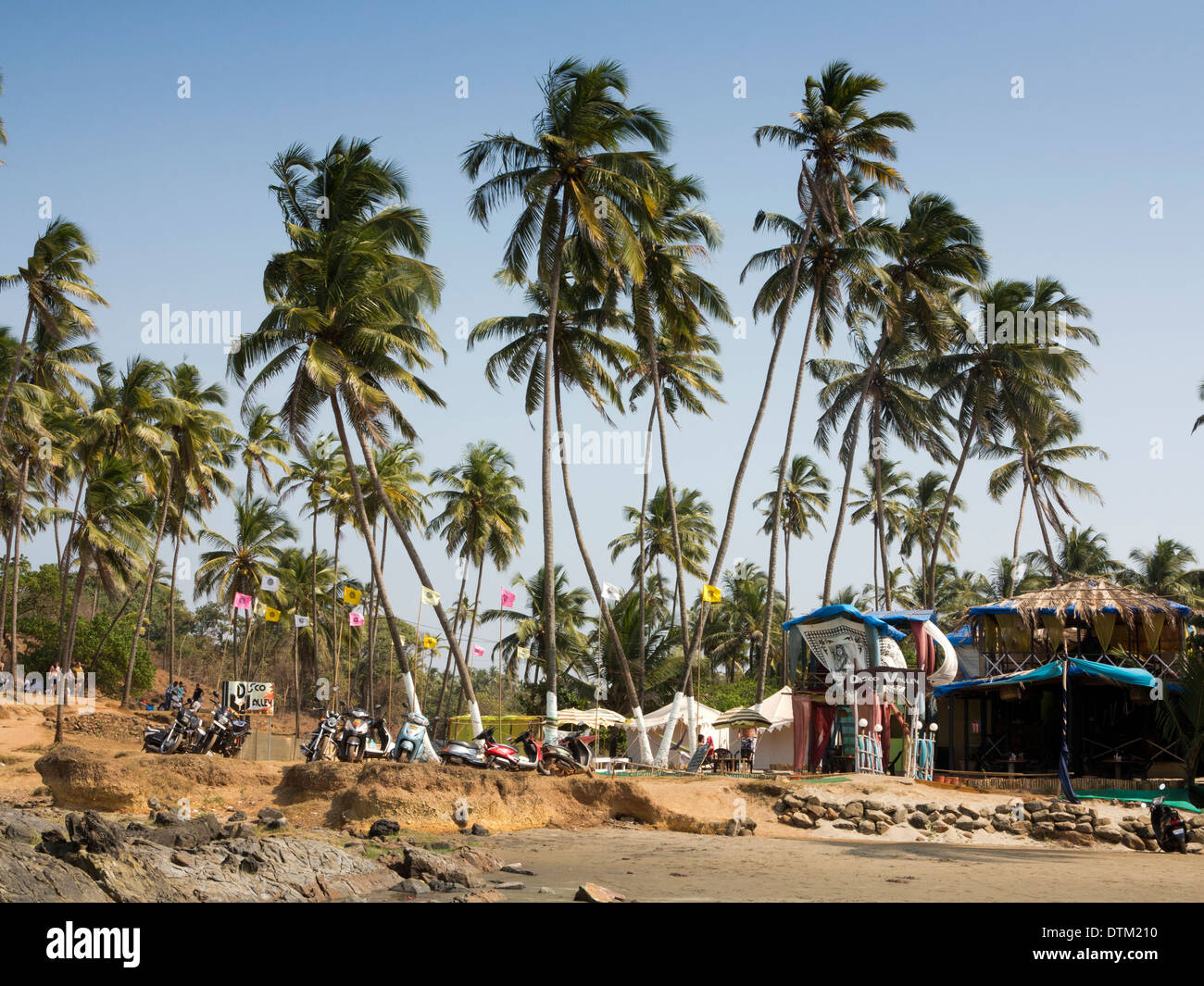 India, Goa, Big Vagator Beach, Discoteca Valle bar sotto alte palme di cocco Foto Stock