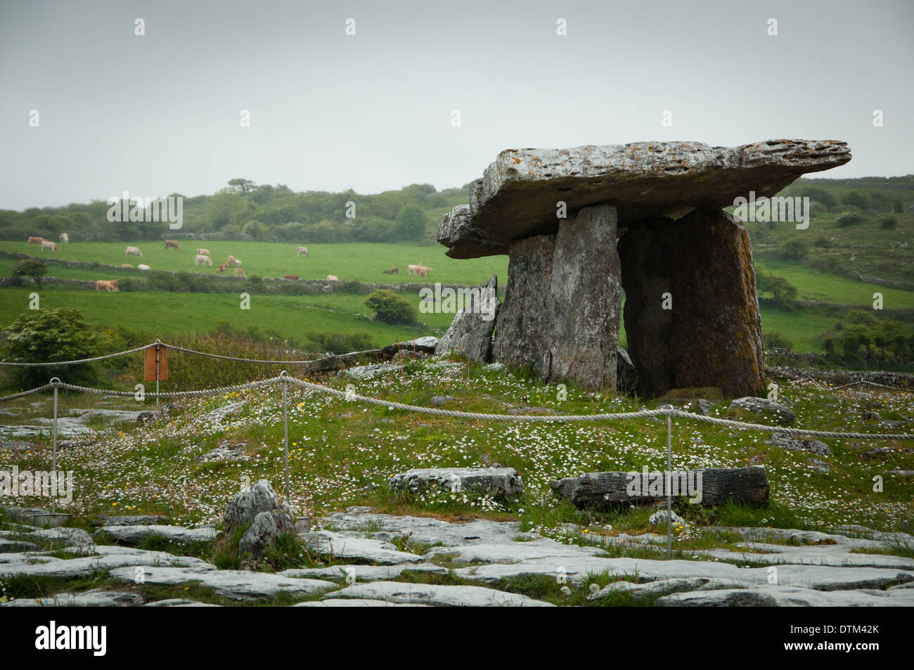 Poulnabrone Dolmen in County Clare, Irlanda Foto Stock