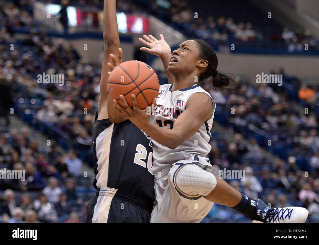 Hartford, CT, Stati Uniti d'America. 19 feb 2014. Mercoledì 19 Febbraio 2014: UConn huskies guard Brianna banche (13) aziona il carrello contro il Central Florida Cavalieri avanti Sara Djassi (20) durante la seconda metà del NCAA womens gioco di basket tra Central Florida e nel Connecticut a XL centro di Hartford, CT. UConn ha vinto molto facilmente su UCF 83-35. Bill Shettle / Cal Sport Media. © csm/Alamy Live News Foto Stock
