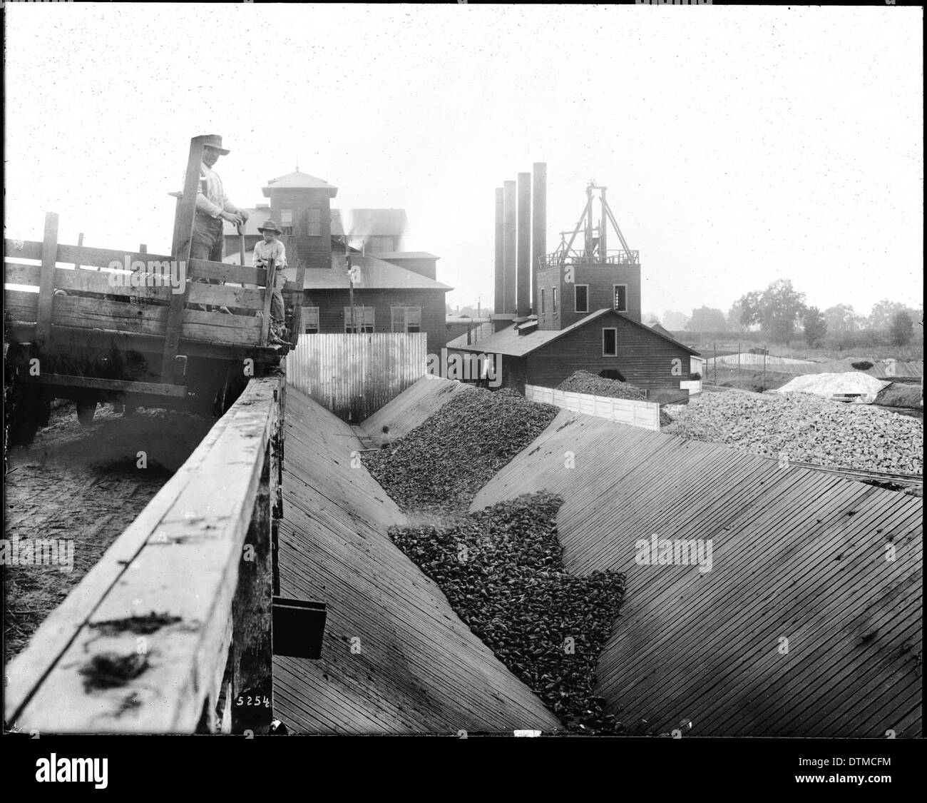 I lavoratori hanno mostrato di scaricare le barbabietole da zucchero in bidoni a forma di V a Visalia, Tulare County, California, intorno al 1900. Foto Stock