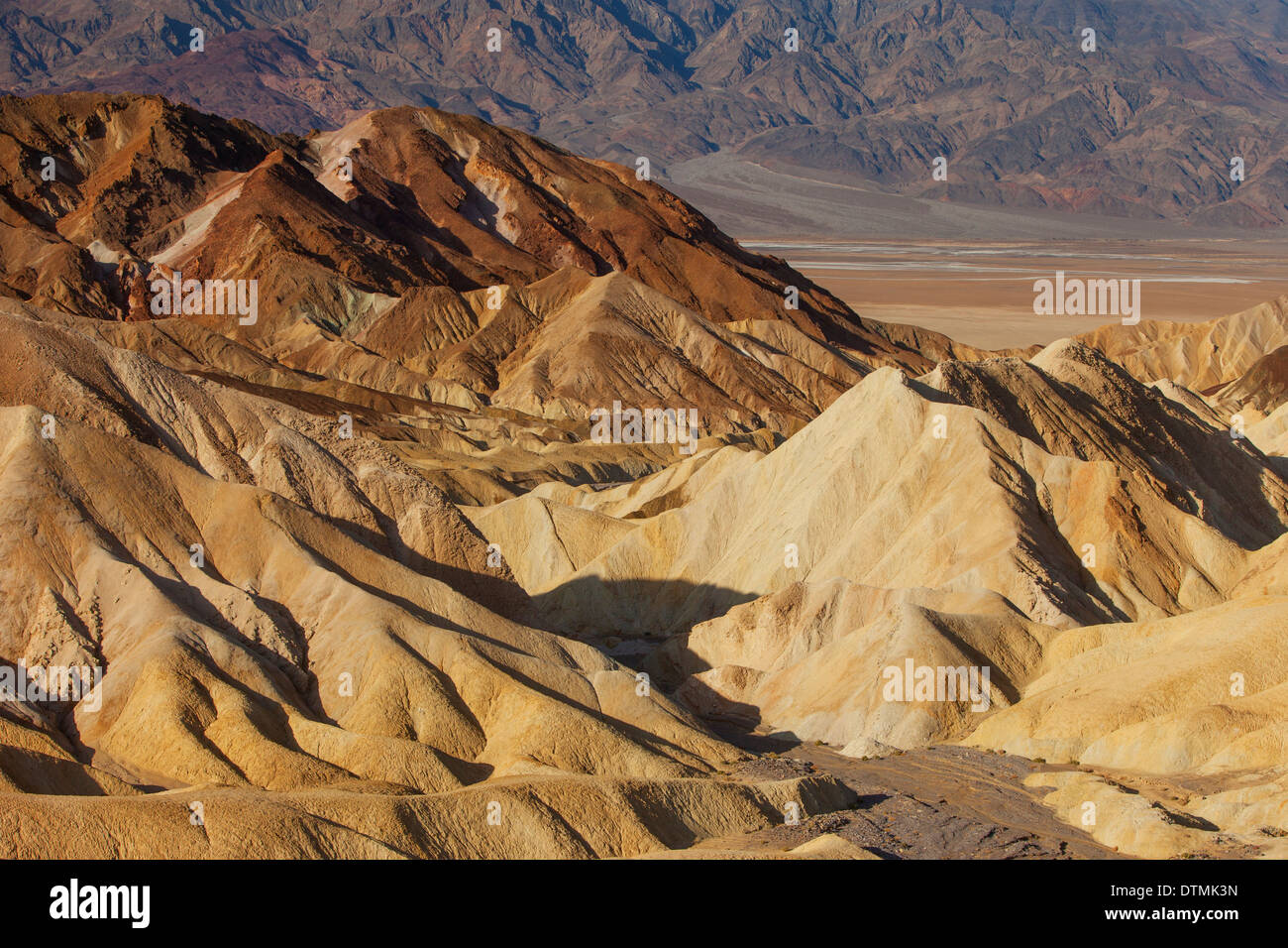 Collettore vicino Zabriski Point, Parco Nazionale della Valle della Morte, California USA Foto Stock