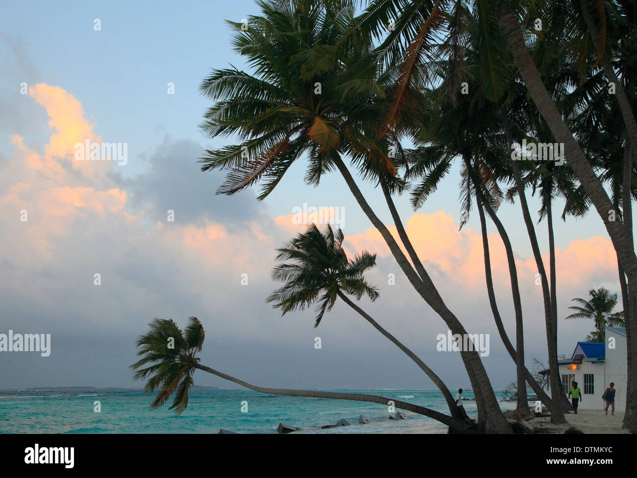 Maldive, Isola di Maafushi, tramonto, palme, spiaggia, Foto Stock