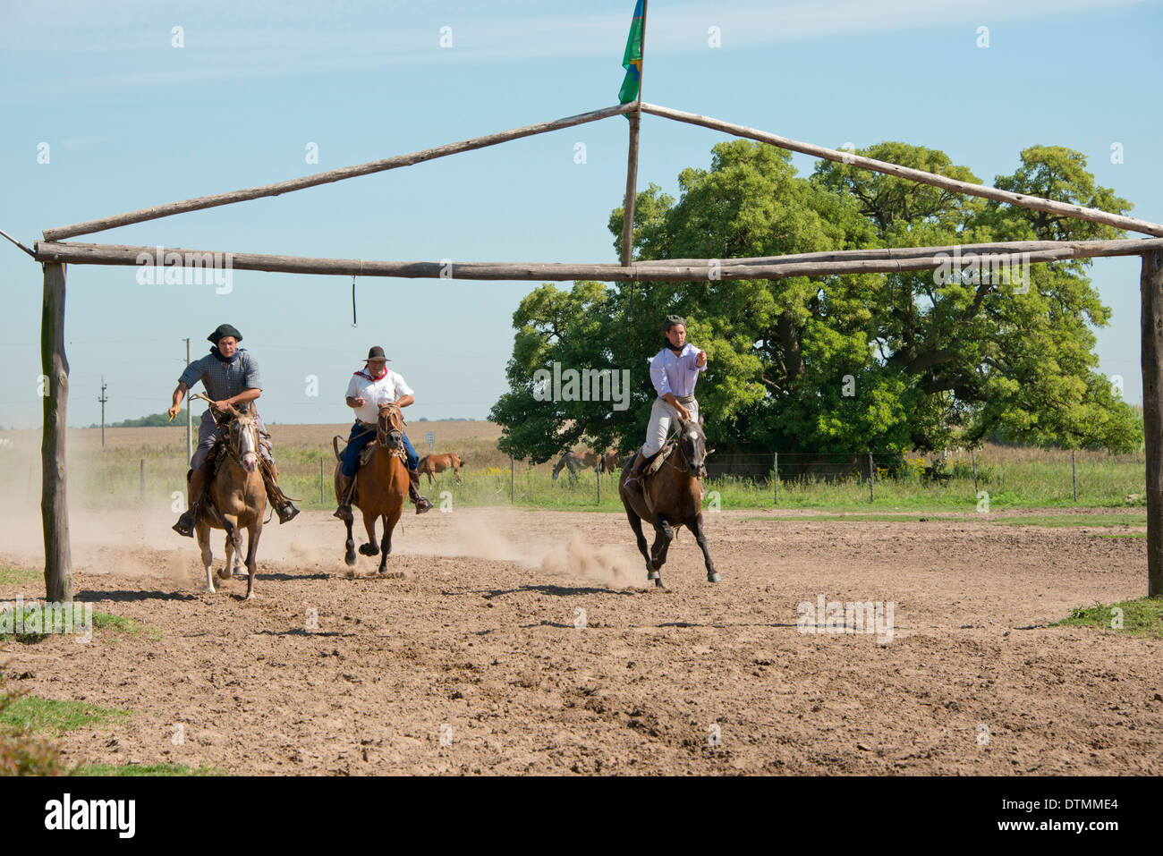 Argentina, Buenos Aires, Estancia Santa Susana. Tradizionale argentino Gauchos di eseguire in una gara di concorso di equitazione. Foto Stock