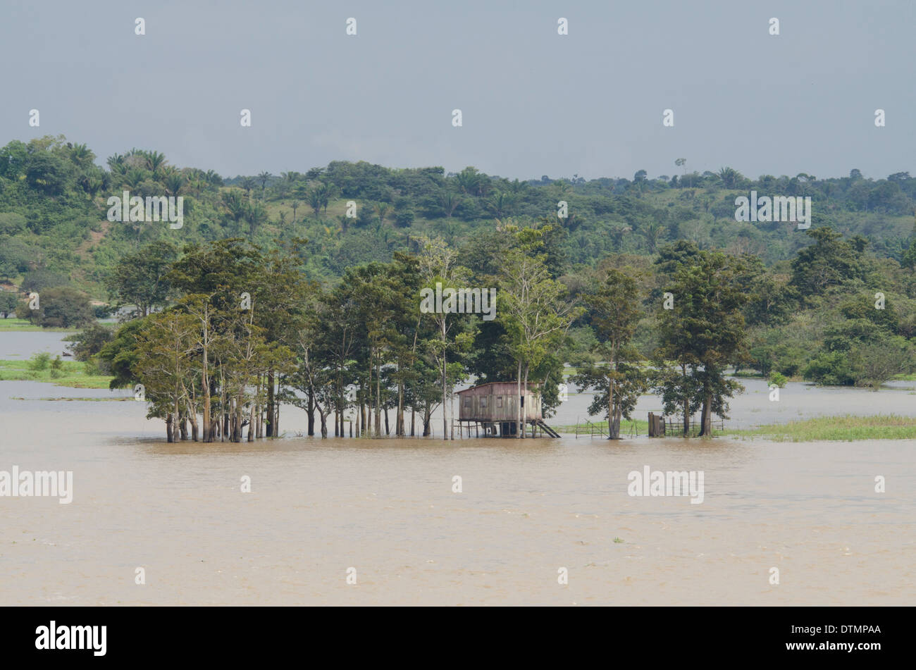 Il Brasile, Amazon, Valeria River, Boca da Valeria. Vista del fiume Valeria dove incontra il fiume del Amazon Foto Stock
