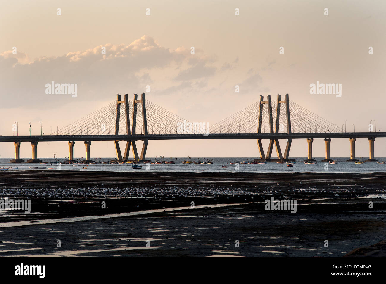 Vista serale di Bandra Worli mare ponte di collegamento. Un testamento dell India di sviluppo tecnologico. Foto Stock