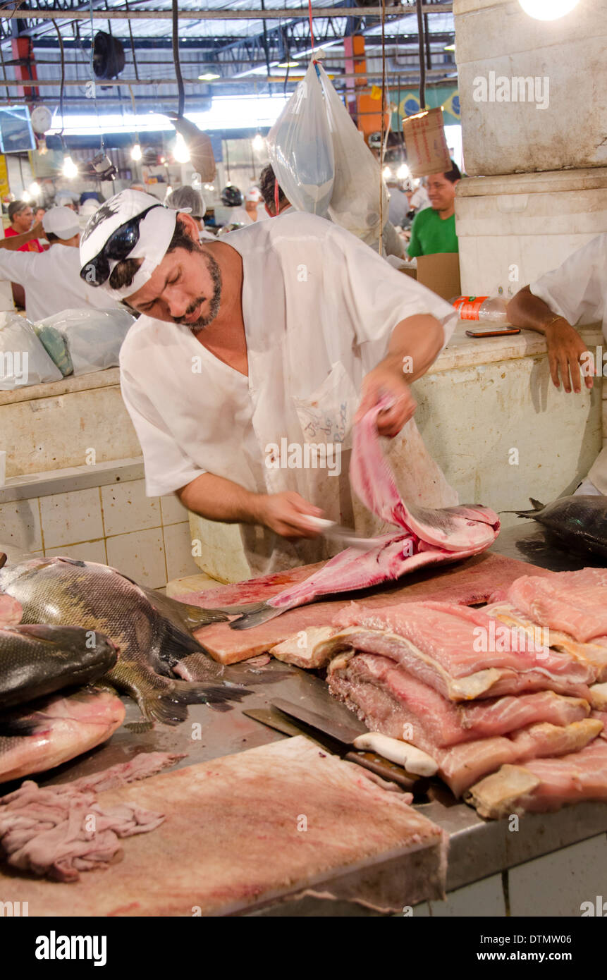 Il Brasile, Amazon, Manaus. Mercato comunale (ferro di mercato o il Mercado Municipal), il mercato del pesce. Foto Stock