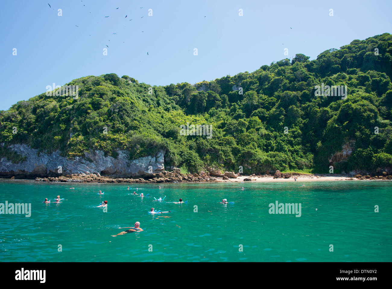 Il Brasile, Rio de Janeiro, Buzios. Nuoto al largo della costa di Buzios Ilha Feia (brutto Island). Foto Stock