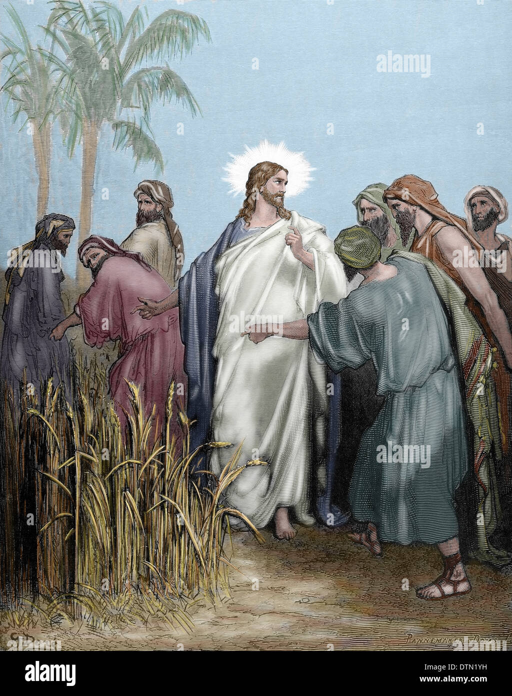 Il Nuovo Testamento. Vangelo di Matteo. Capitolo XII. Gli apostoli riuniti orecchie nel giorno di riposo. Incisione colorata. Foto Stock