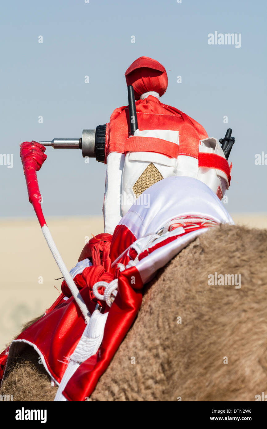 Comandato a distanza robot fantino al camel racing a Dubai Camel Racing Club at Al Marmoum in Dubai Emirati Arabi Uniti Foto Stock