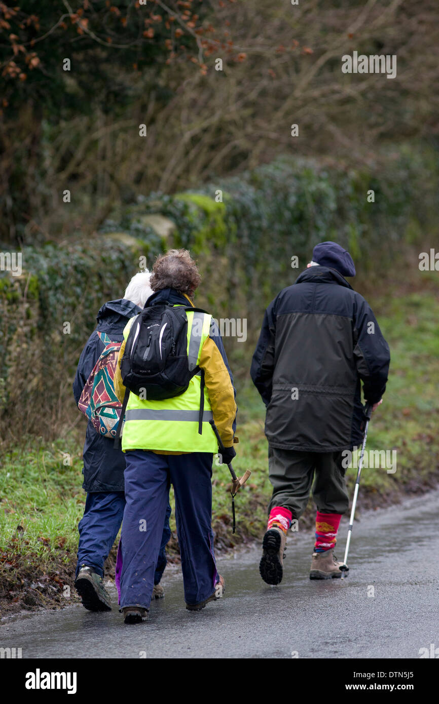 Regno Unito, Gloucestershire : un gruppo di escursionisti a piedi lungo il lato della strada attraverso il paese vicino a boschi nel Gloucestershire. Foto Stock