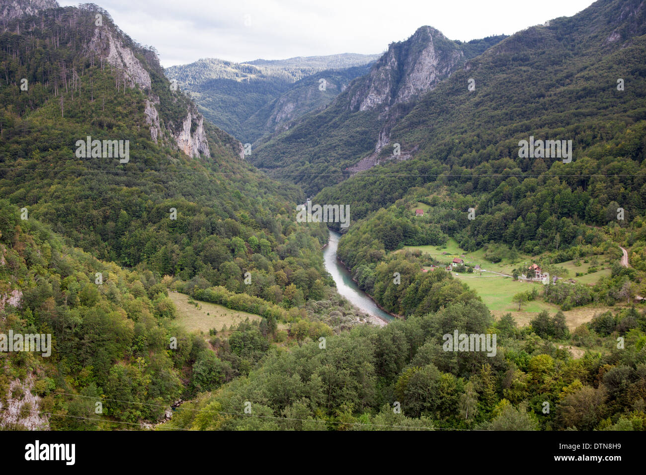 Fiume Tara, Montenegro Foto Stock