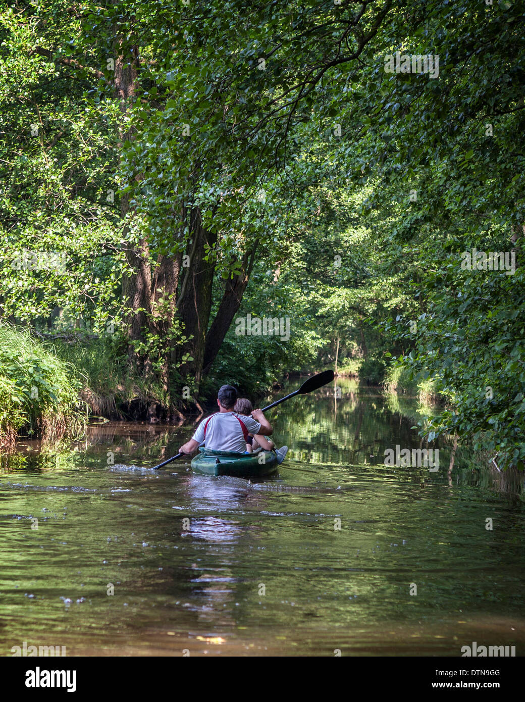 Matura in un kayak canottaggio sotto gli alberi nella tranquilla Spreewald, Riserva della Biosfera dall'UNESCO, Germania Foto Stock