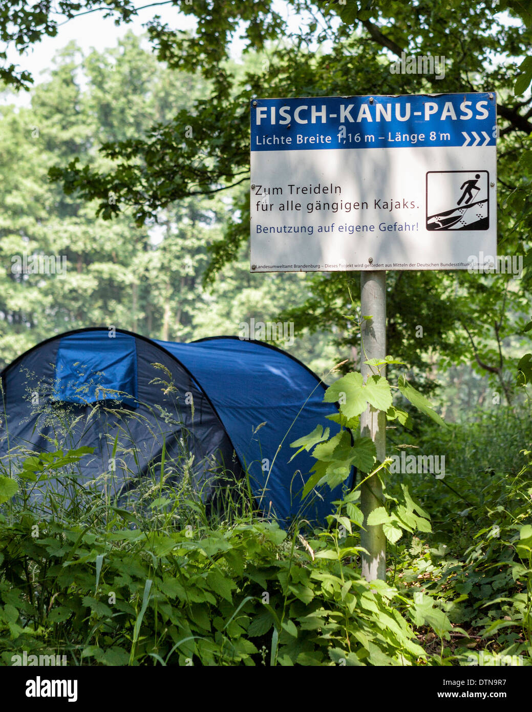 Un blu del camper tenda alla Fisch-Kanu passare le boscose Spreewald riserva della biosfera, Brandeburgo, Germania Foto Stock