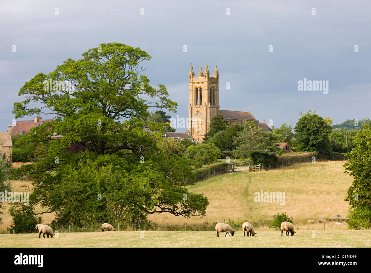 Pecore al pascolo nei campi riportati di seguito St Michaels chiesa in Cotswolds village di Broadway, Worcestershire, Inghilterra. Foto Stock