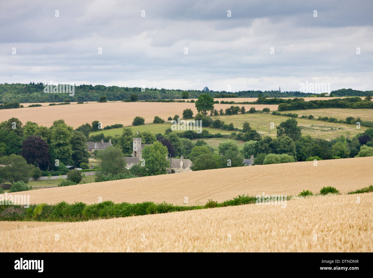 Il rotolamento dei campi agricoli circostanti il pittoresco Cotswolds village di Swinbrook, Oxfordshire, Inghilterra. Foto Stock
