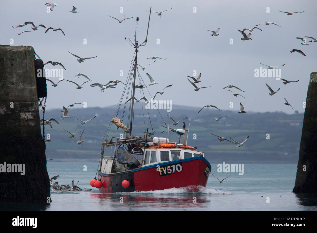 "Tornando a casa", un peschereccio tornando al Porto di Newlyn, Cornwall, Regno Unito. Foto Stock