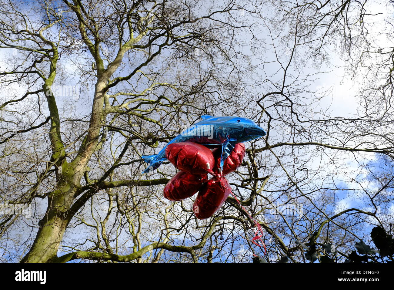 Londra, Regno Unito. Il 21 febbraio 2014. Dolphin e palloncini loveheart Credito: Rachel Megawhat/Alamy Live News Foto Stock