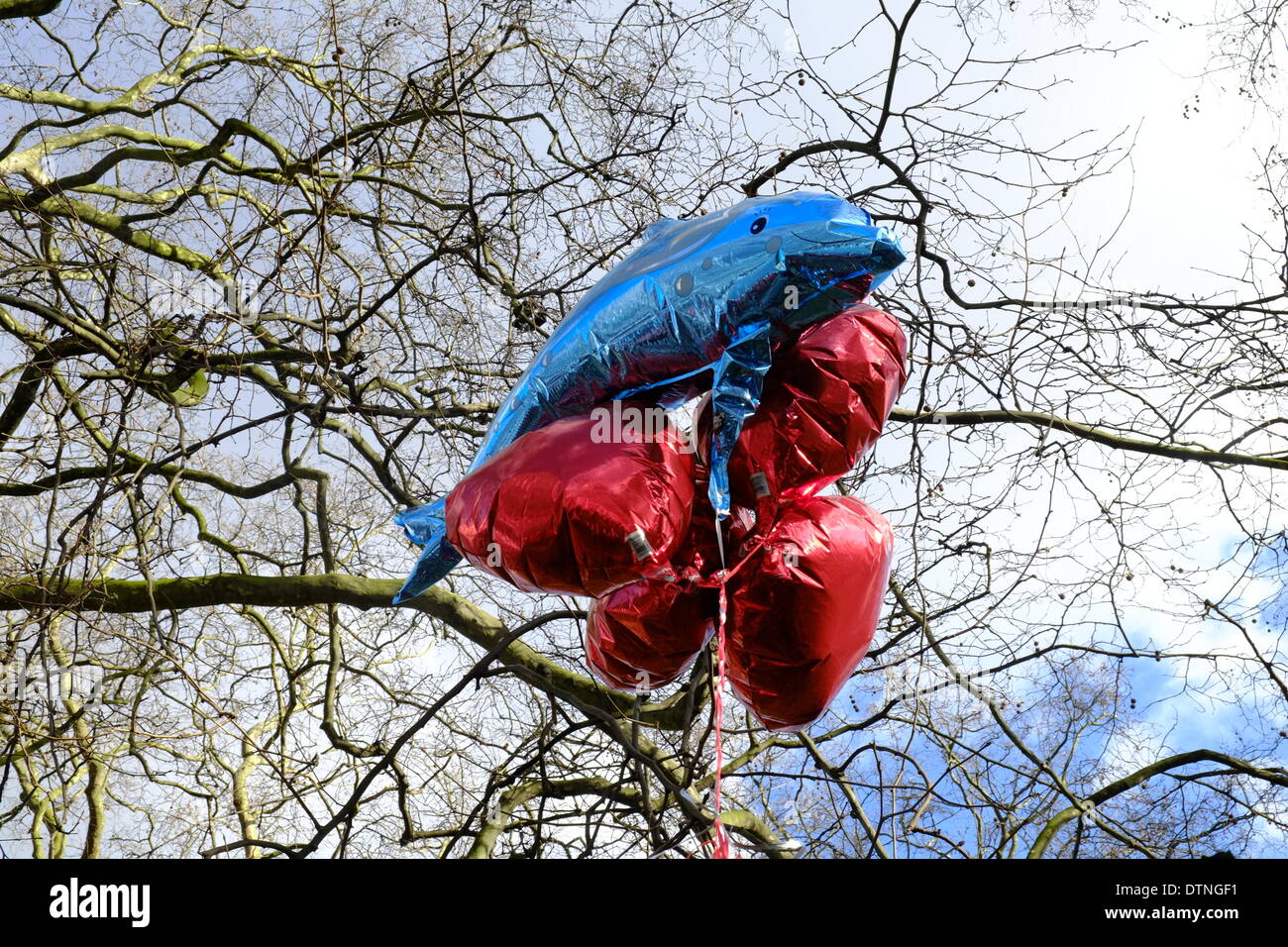 Londra, Regno Unito. Il 21 febbraio 2014. Dolphin e palloncini loveheart Credito: Rachel Megawhat/Alamy Live News Foto Stock