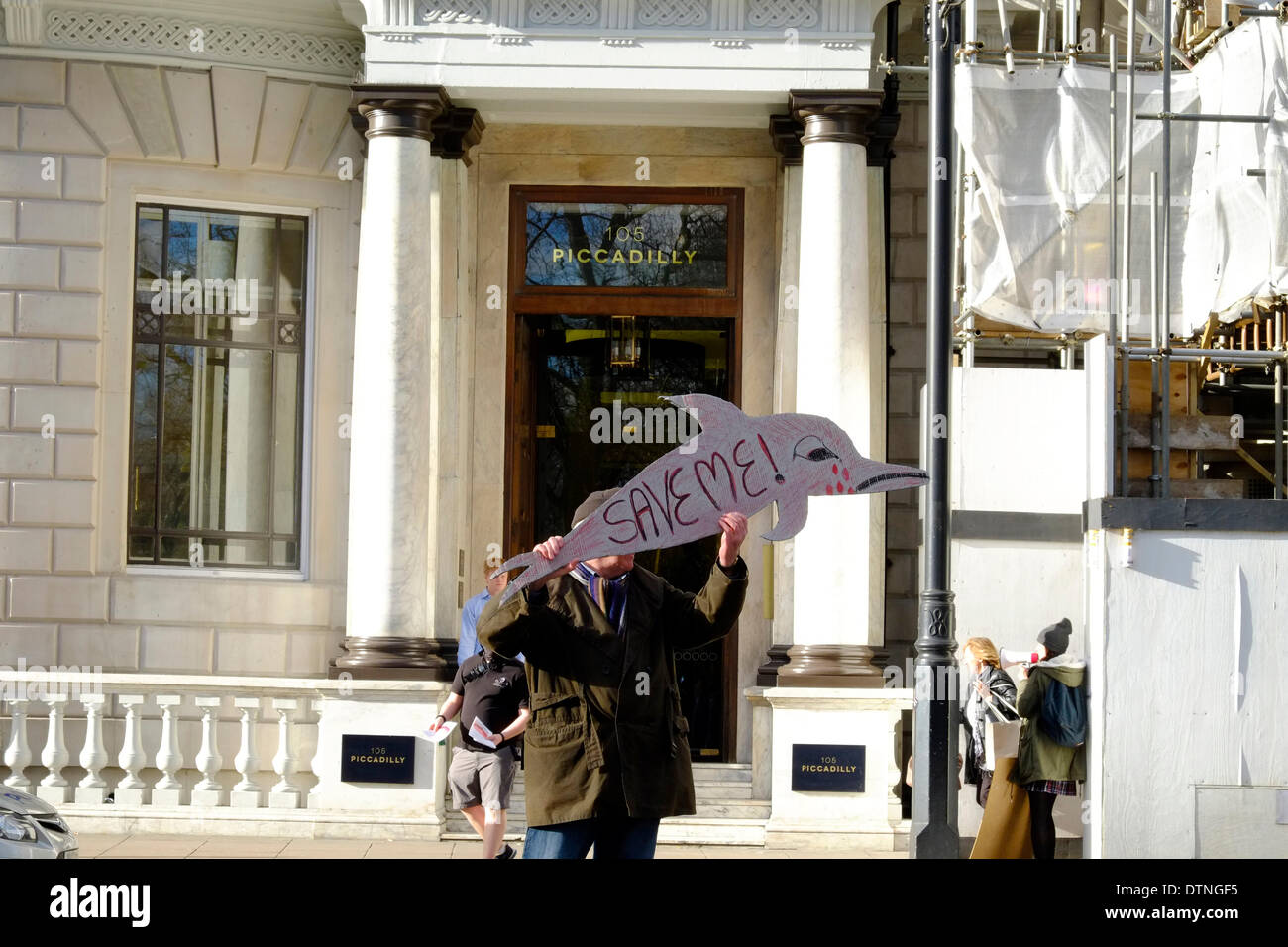 Londra, Regno Unito. Il 21 febbraio 2014. Manifestanti soggiorno fuori Japenese ambasciata per diverse ore che chiede di porre fine al massacro dei delfini Credito: Rachel Megawhat/Alamy Live News Foto Stock