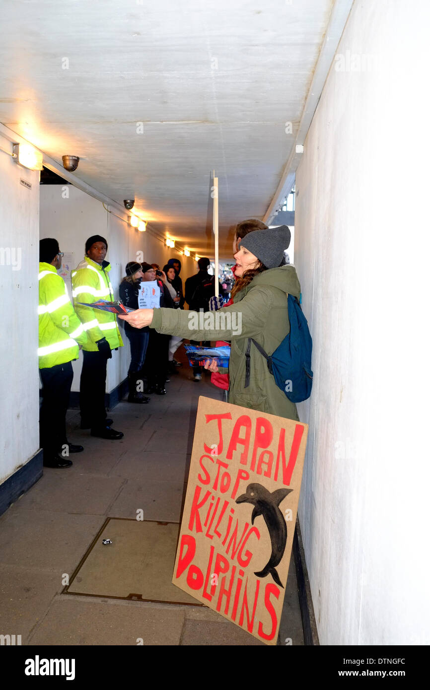 Londra, Regno Unito. Il 21 febbraio 2014. Manifestanti soggiorno fuori Japenese ambasciata per diverse ore che chiede di porre fine al massacro dei delfini Credito: Rachel Megawhat/Alamy Live News Foto Stock