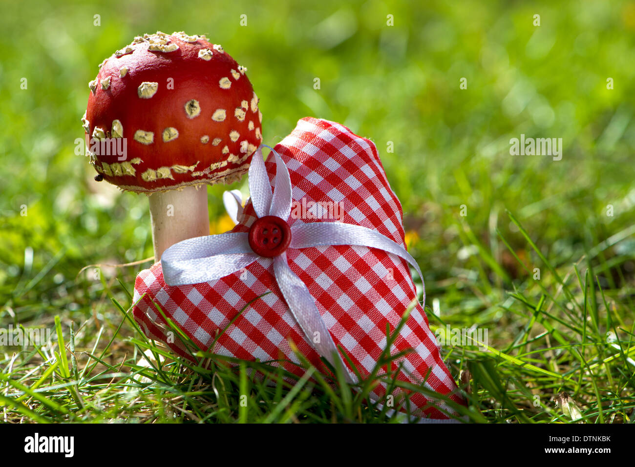 Toadstools con cuore in un verde prato Foto Stock