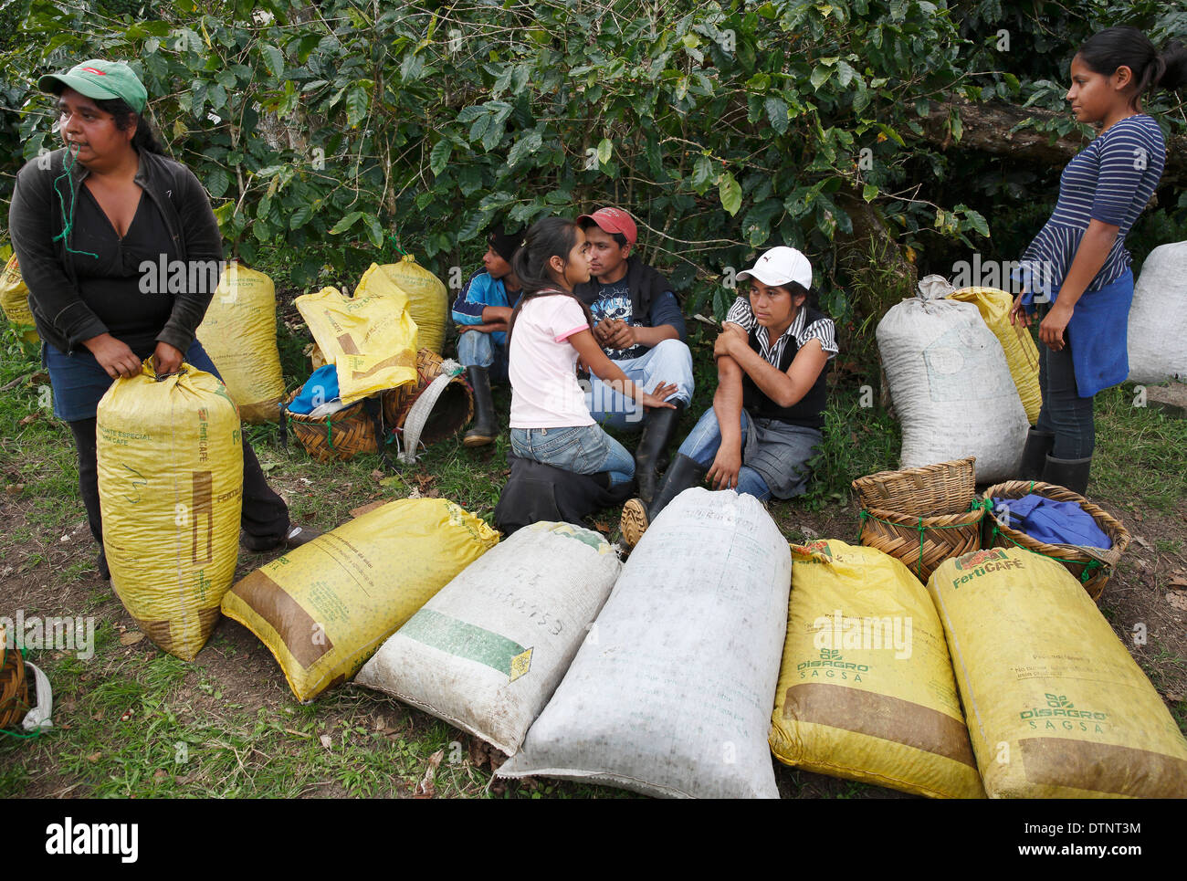 Una famiglia attende di avere la loro giornata di raccolto del caffè obbediva, Northwest Nicaragua Foto Stock