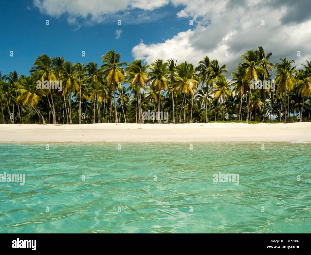 Spiaggia vuota, acqua chiara, palme e cielo sull'isola africana di Comore Foto Stock
