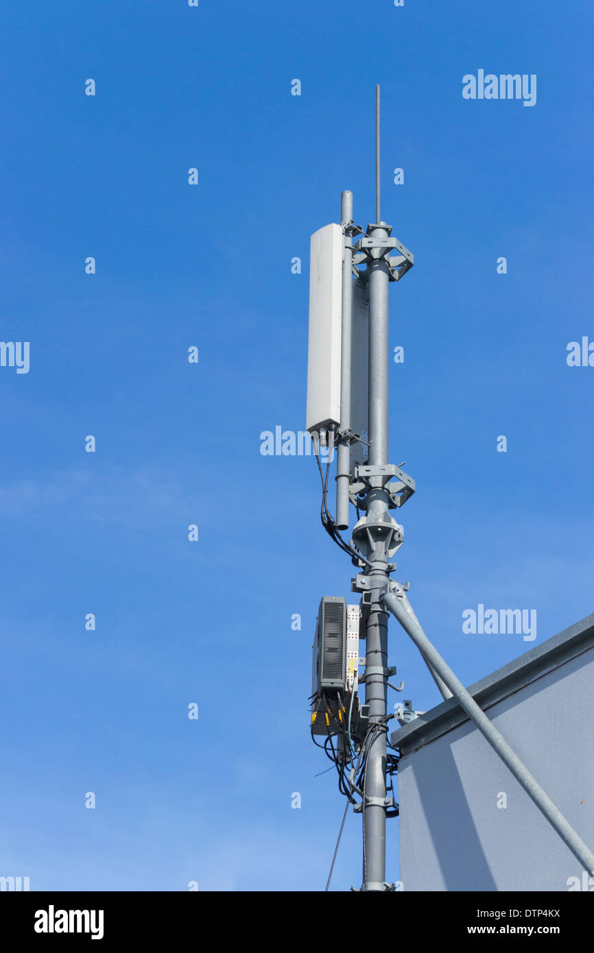 Alberi di Telecom Foto Stock