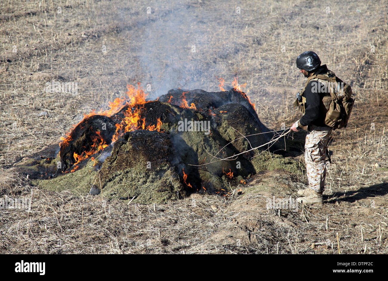 Un membro delle forze di sicurezza nazionali afgane brucia più di 2.800 libbre di marijuana sequestrati trovato durante un'operazione di compensazione 16 febbraio 2014 nel quartiere Zharay, provincia di Kandahar, Afghanistan. Foto Stock