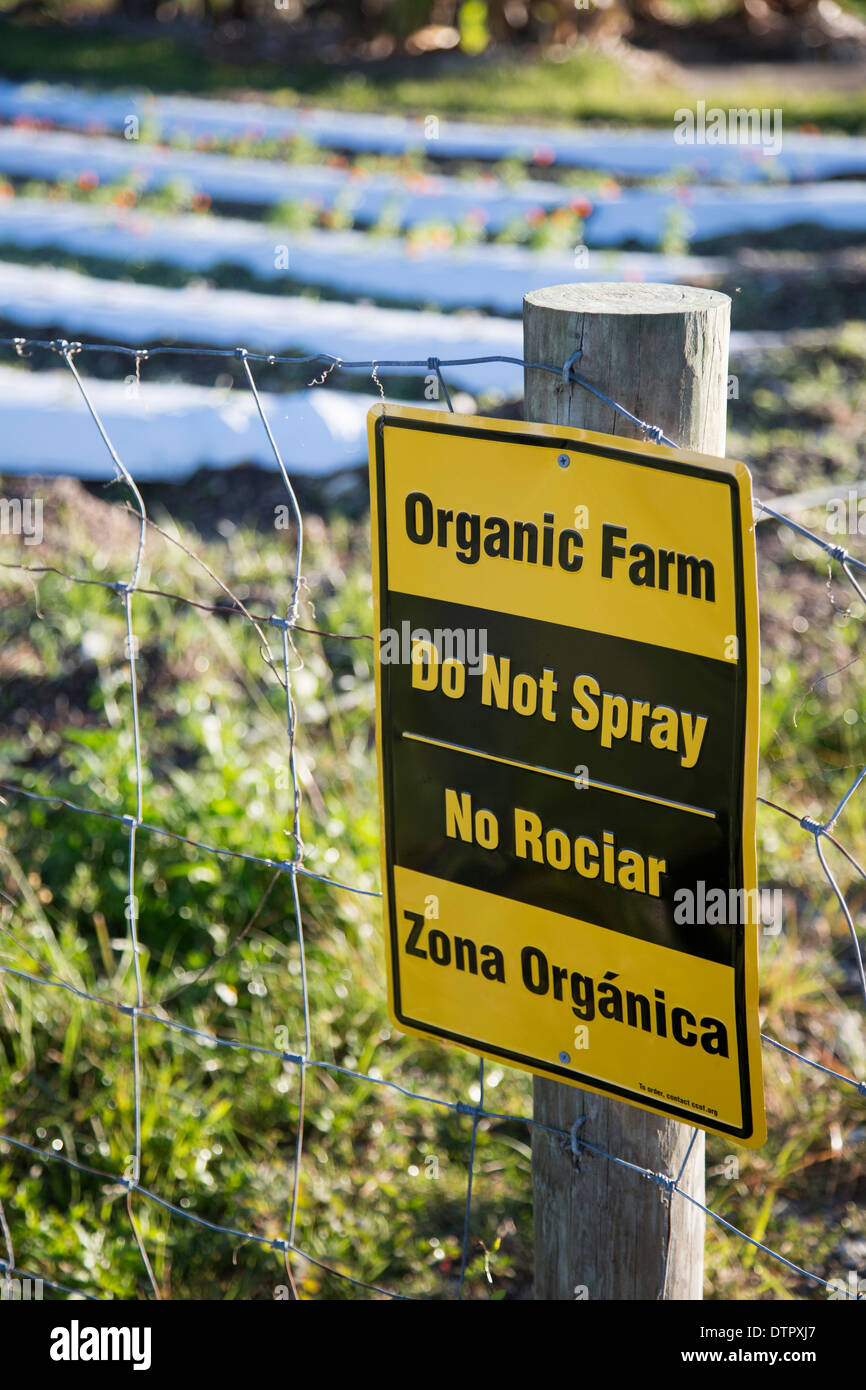 Azienda agricola biologica vicino a Miami che impiega ex senzatetto. Foto Stock