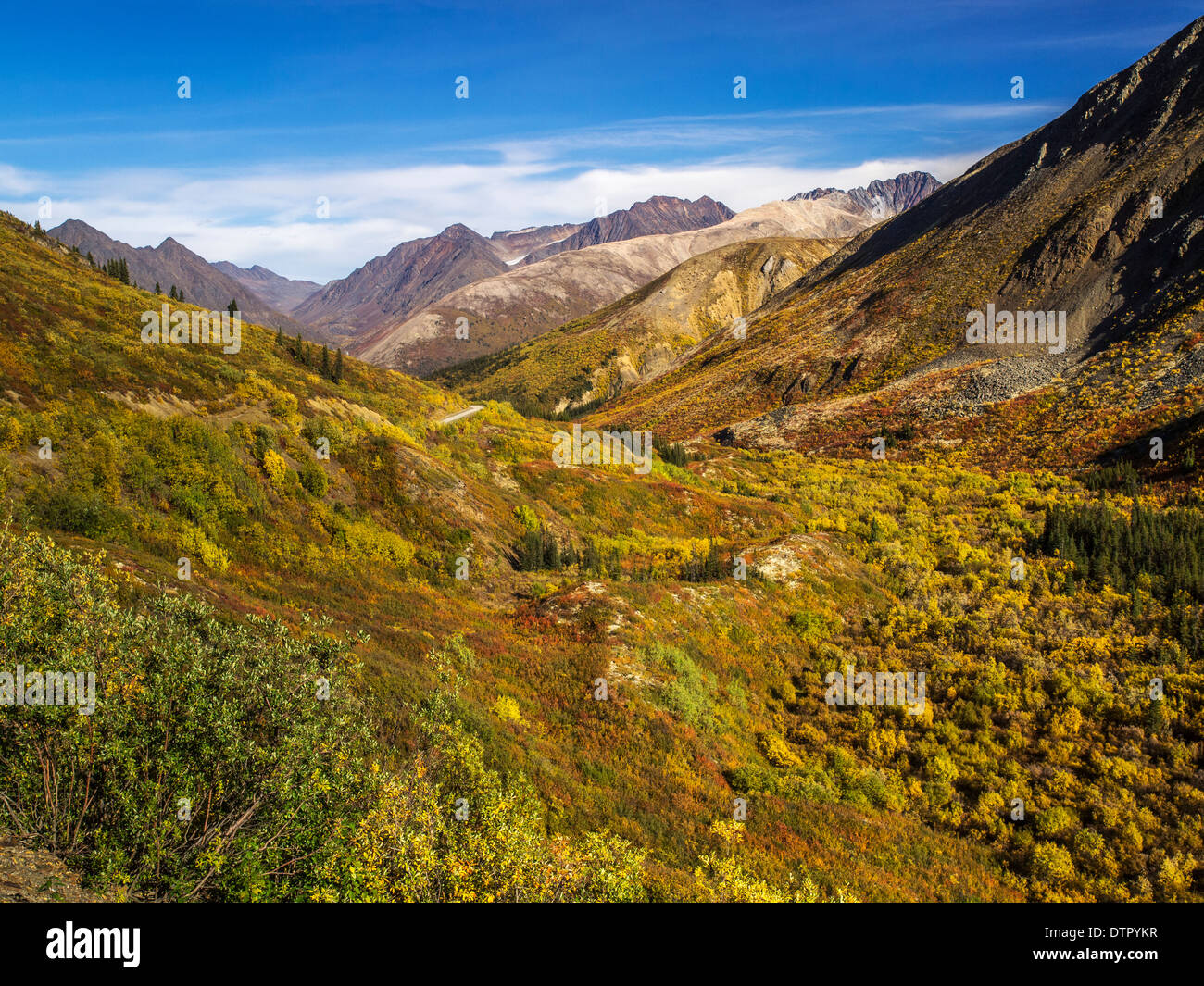 Guardando verso il basso un autunno colorato nella valle del Mackenzie zona di montagna Foto Stock