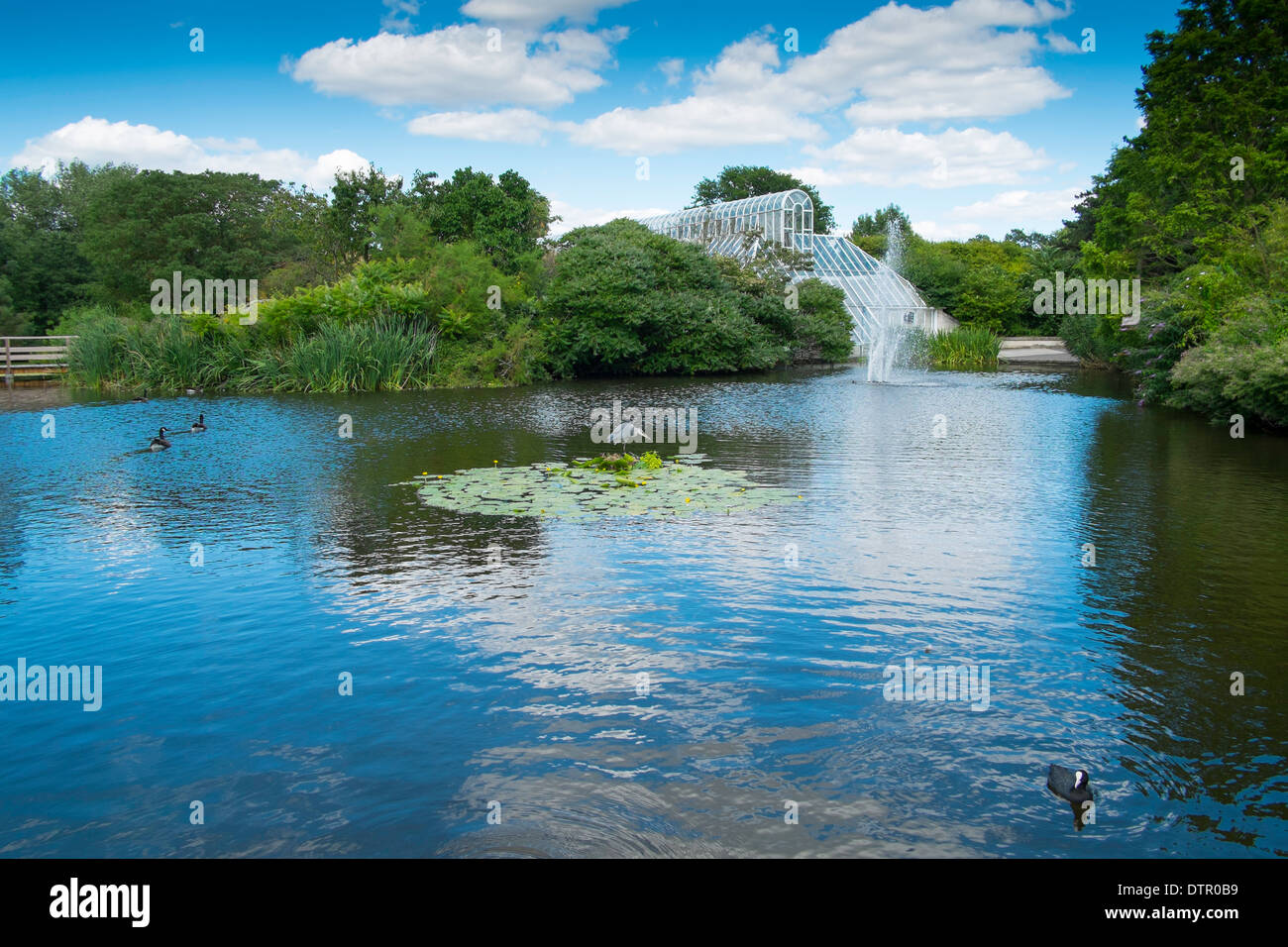 Vista sul lago verso il Joseph Banks glasshouse, Kew Royal Botanic Gardens, Inghilterra Foto Stock