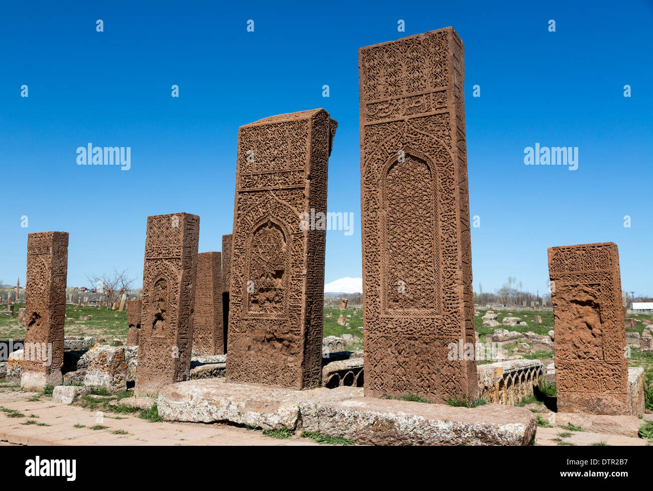 Pietra scolpita lapidi, Ahlat, Bitlis Provincia, Anatolia Orientale Regione, Turchia Foto Stock