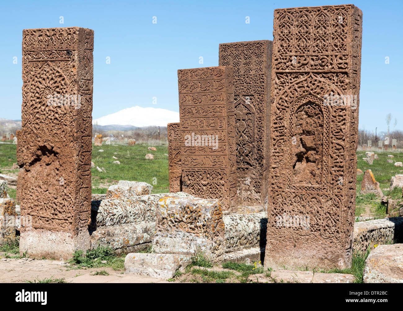 Pietra scolpita lapidi, Ahlat, Bitlis Provincia, Anatolia Orientale Regione, Turchia Foto Stock