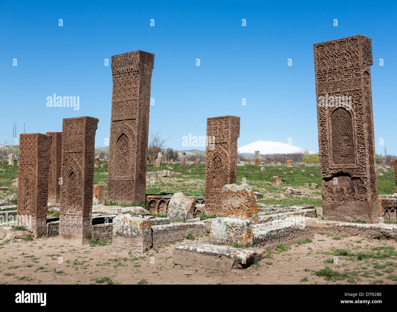 Pietra scolpita lapidi, Ahlat, Bitlis Provincia, Anatolia Orientale Regione, Turchia Foto Stock