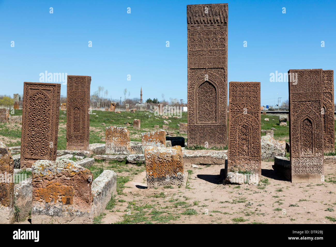 Pietra scolpita lapidi, Ahlat, Bitlis Provincia, Anatolia Orientale Regione, Turchia Foto Stock