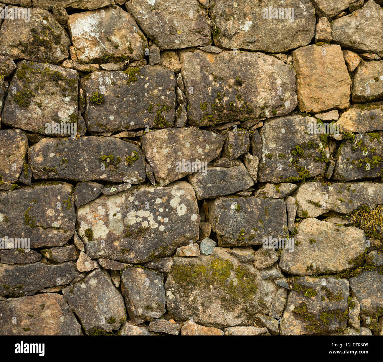 Il vecchio muro di pietra ricoperta con un muschio, sfondo astratto Foto Stock