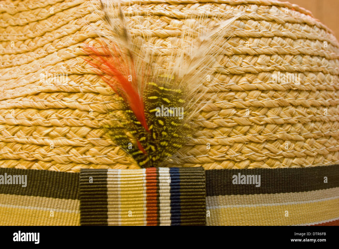 Piume colorate e hat band su un cappello di paglia. Foto Stock