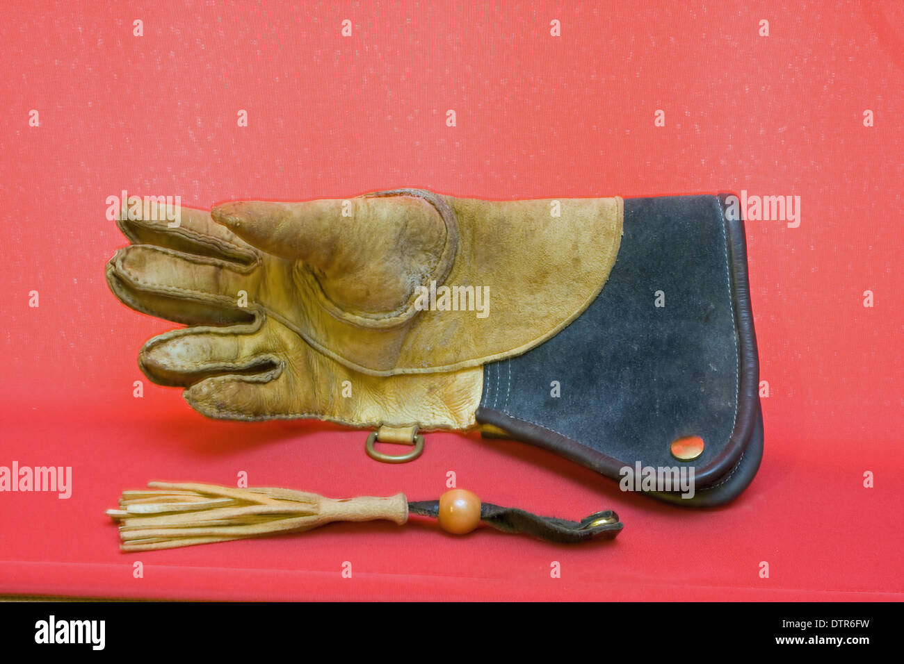 Utilizzate la falconeria guanto con fiocco. Foto Stock