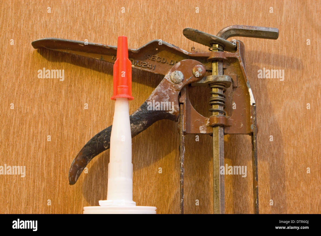 Ugello dal tubo di decoratori cianfrinare con pistola erogatrice. Foto Stock