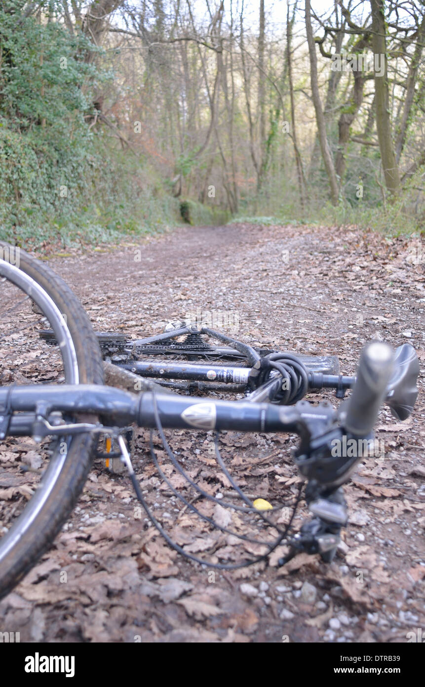 Hybrid bike sul sentiero del bosco Foto Stock