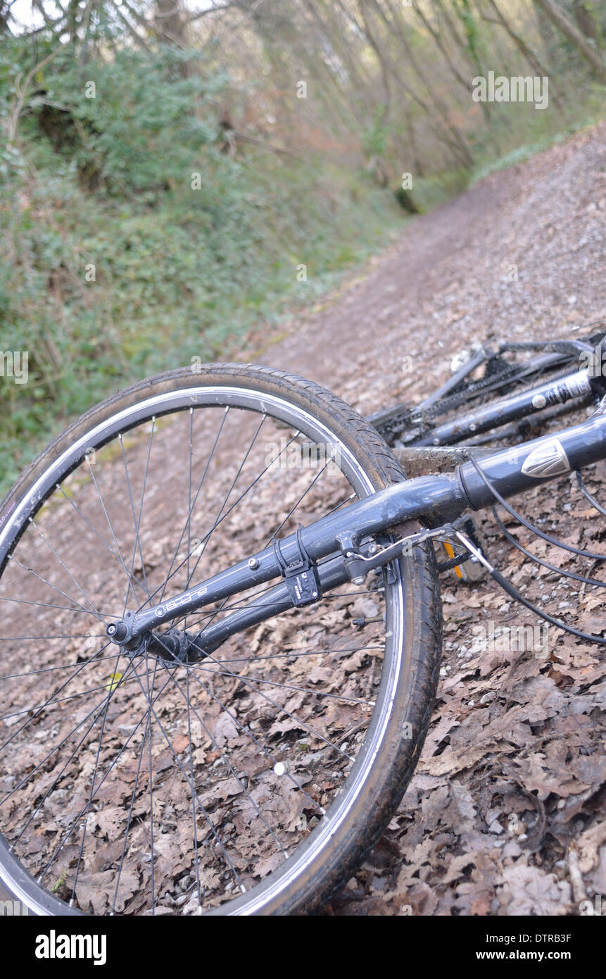 Hybrid bike sul sentiero del bosco Foto Stock