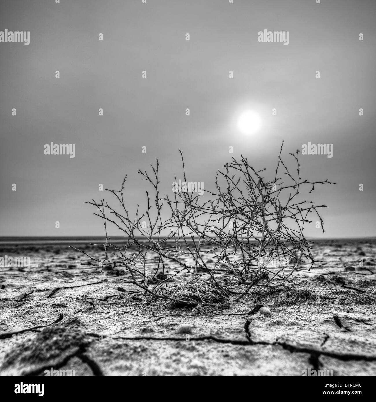 HDR Tramonto sul lago a secco, Manych Gudilo Foto Stock