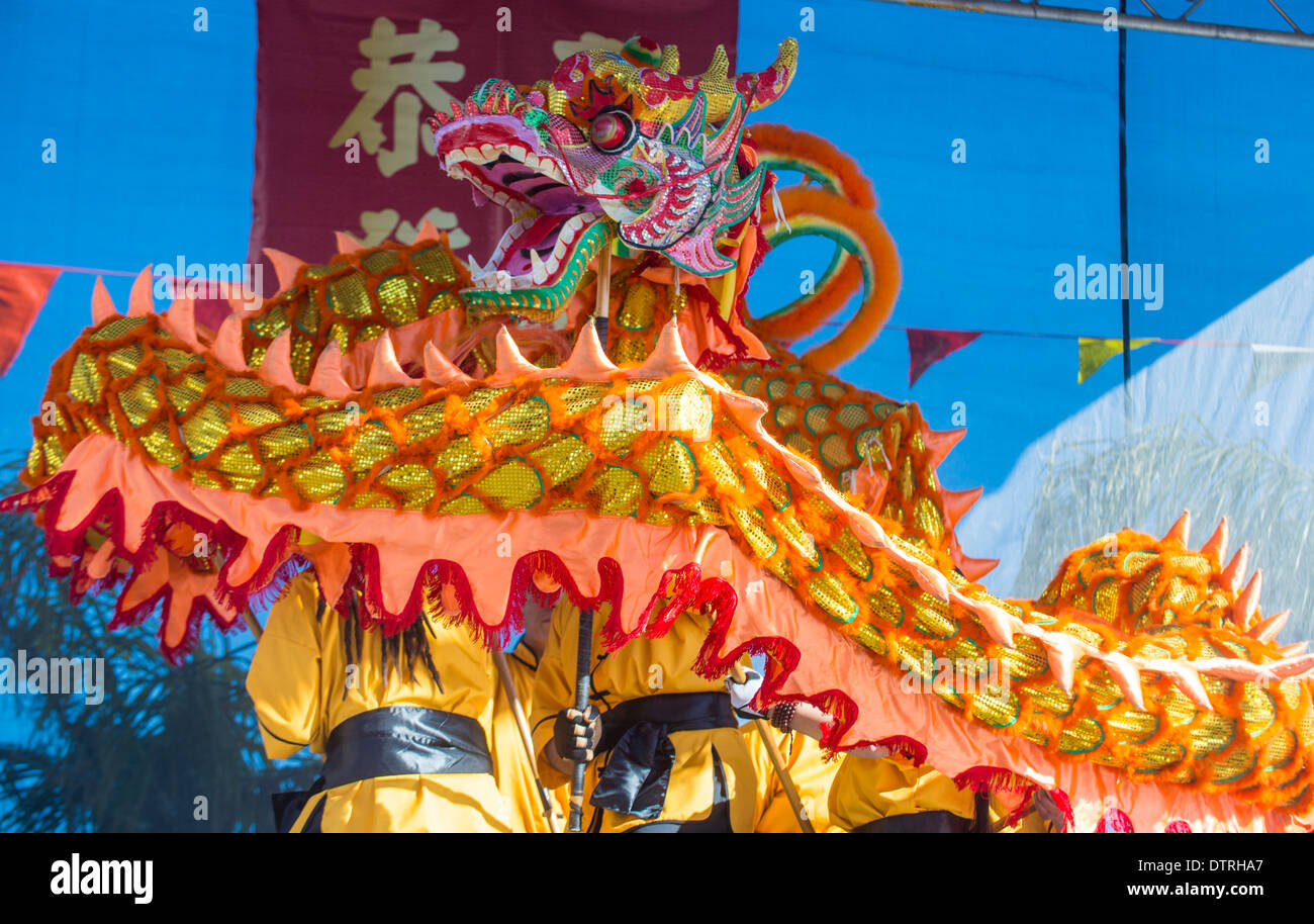 Dragon Dance artisti durante il Capodanno cinese che si terrà a Las Vegas Foto Stock