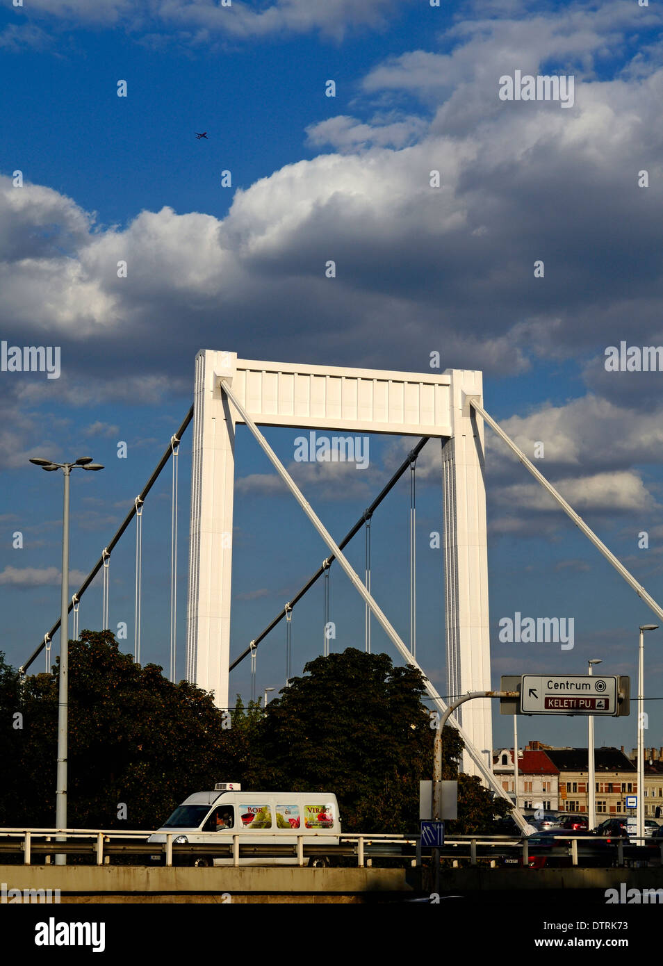Ungheria Budapest ponte Elisabetta (Erzsébet hid) vista dal lato di Buda Foto Stock